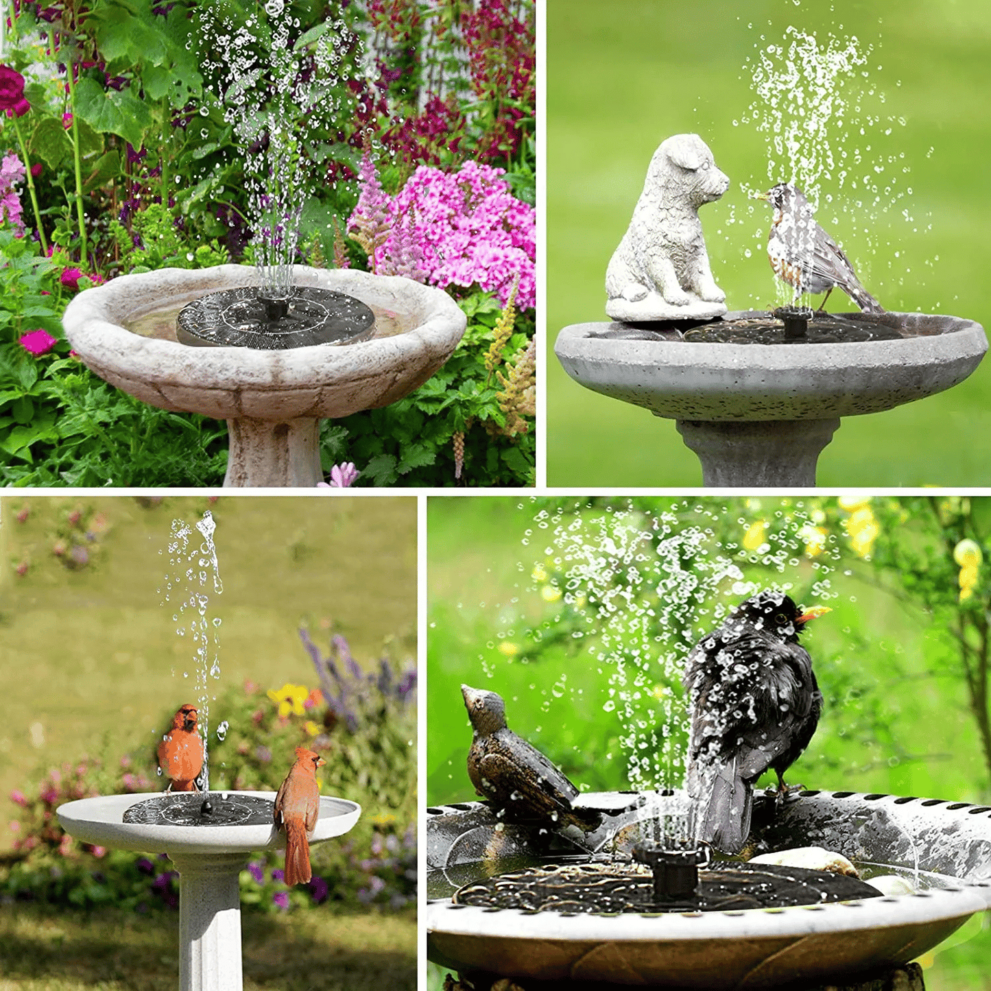 🔥Last Day 49% OFF🎉Solarbetriebener Vogelbrunnen Kit🐦️