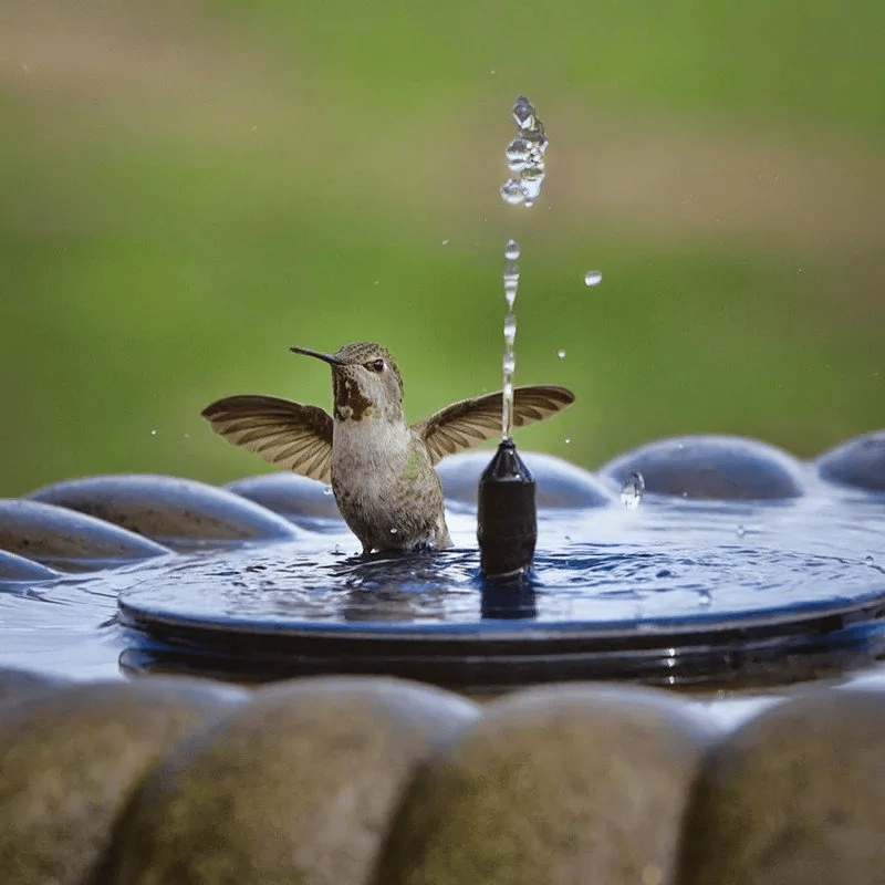 🔥Last Day 49% OFF🎉Solarbetriebener Vogelbrunnen Kit🐦️